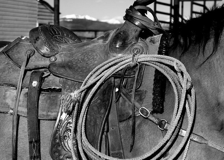A Well Worn Saddle and a Good Rope #1002
