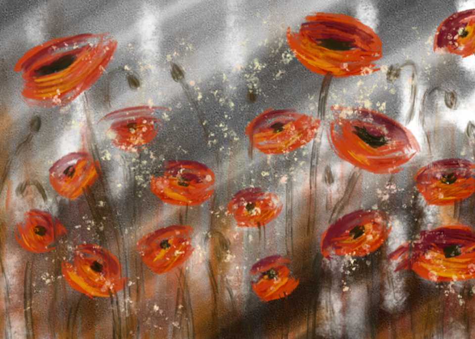 Twilight Poppies Art | M² Canvas Worx