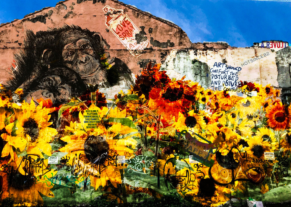 New Orleans   Love Collage Photography Art | arevolt64