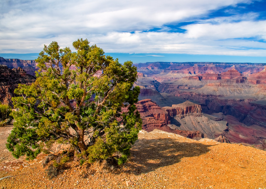 Standing on the South Rim — Grand Canyon fine-art photography prints