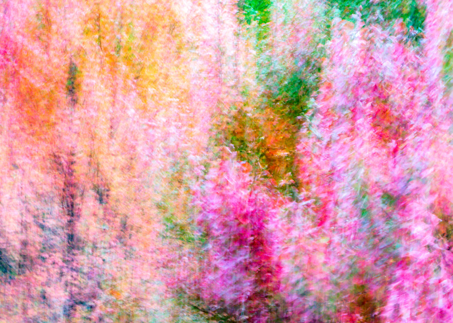 Fall Beauty in the Abstract | Susan J Photography