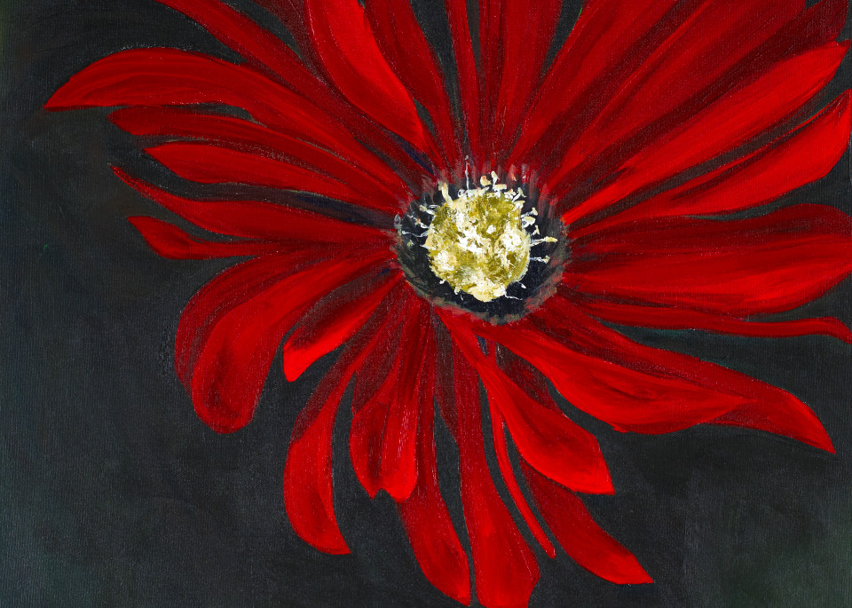 Red Baja Blossom