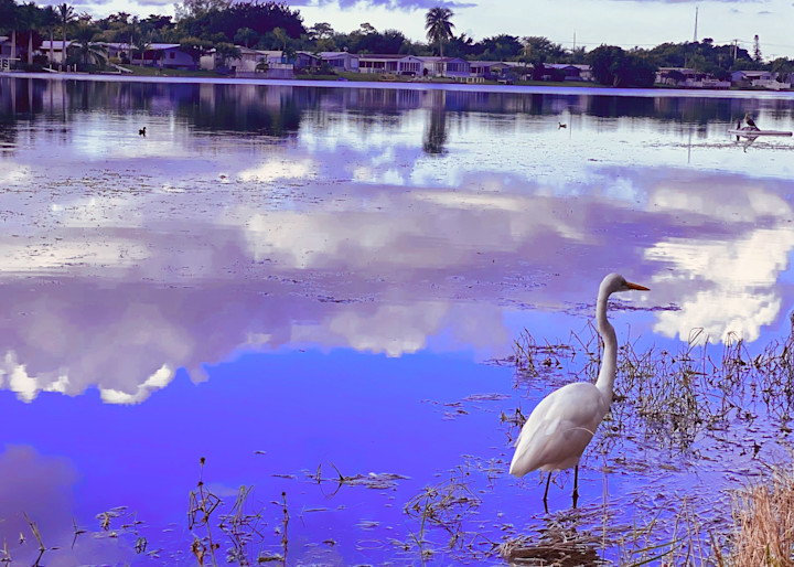 Surreal Purple Landscape With A Great White Heron Art | ShamanIsis.com
