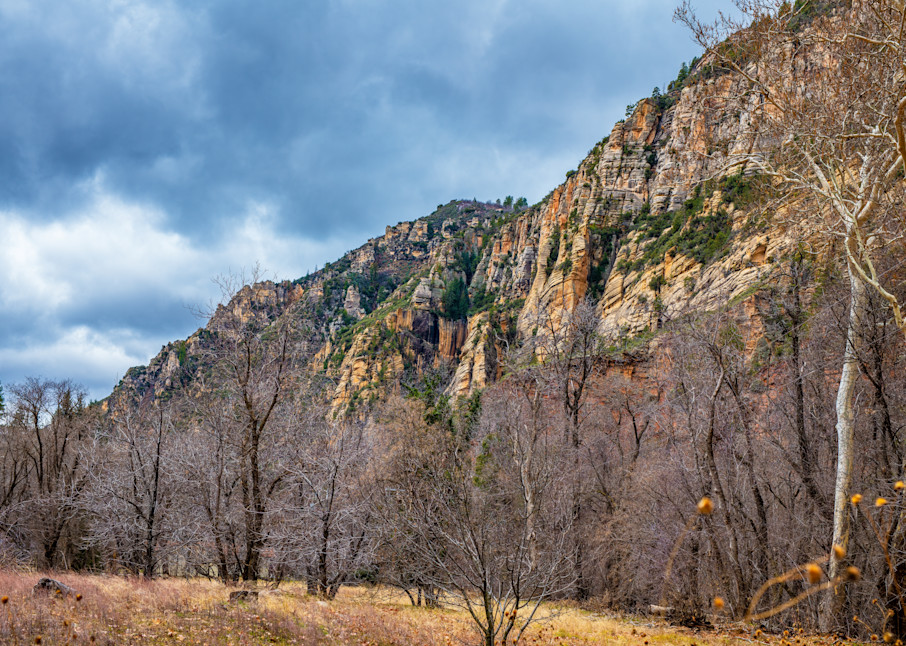 Oak Creek Canyon   West Fork Trail 3 Photography Art | Susie Rivers Photography