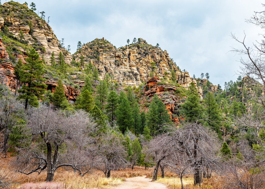 Oak Creek Canyon   West Fork Trail 5 Photography Art | Susie Rivers Photography