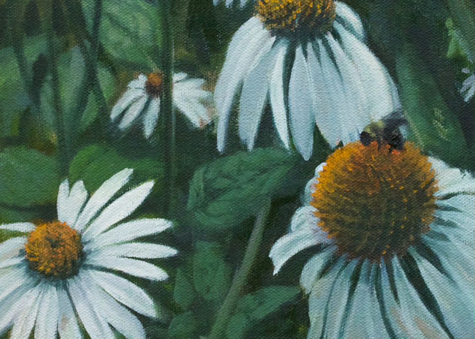 Daisy Bee Art | Gwenn Knapp Artist