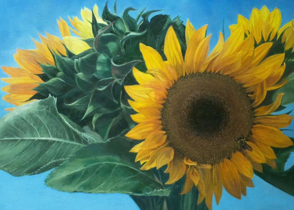 Sunflower Bundle Art | Gwenn Knapp Artist