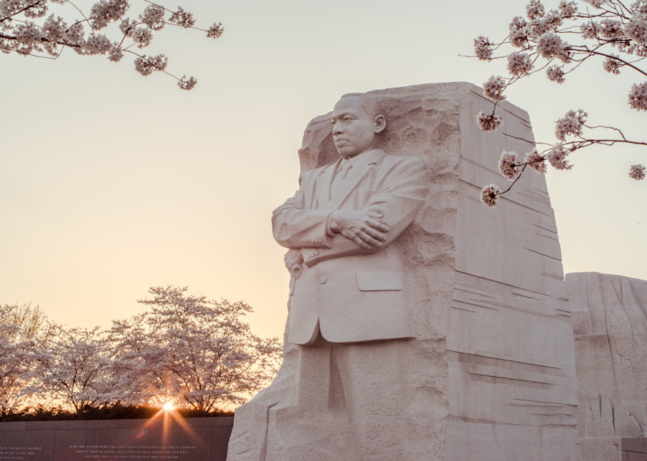 Martin Luther King, Jr. Memorial during Cherry Blossom season at sunrise in Washington, DC - Fine Art Print
