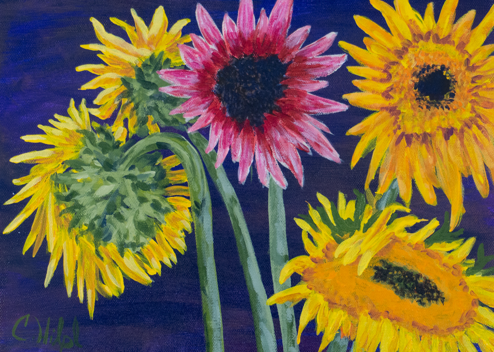Colorful Sunflowers  Art | Chuck Hilpl Fine Art