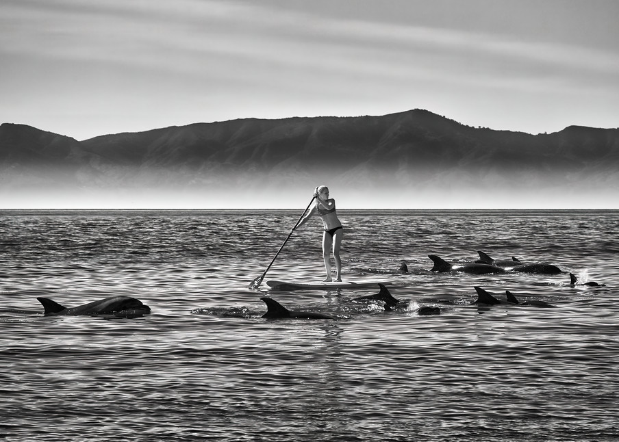 John E. Kelly Fine Art Photography – Paddles with Dolphins - Urbanism
