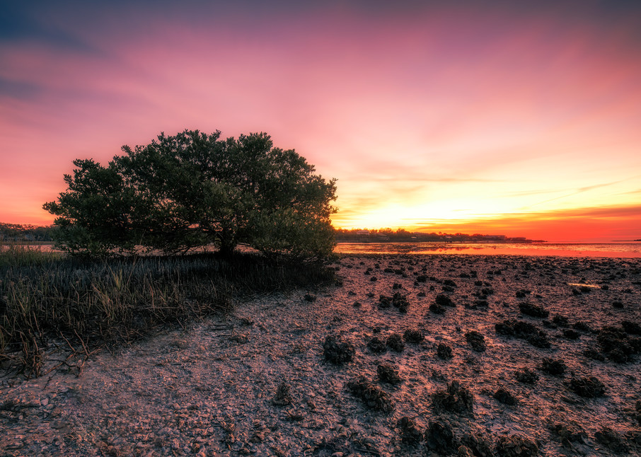 Cedar Key Sunrise - Florida fine-art photography prints