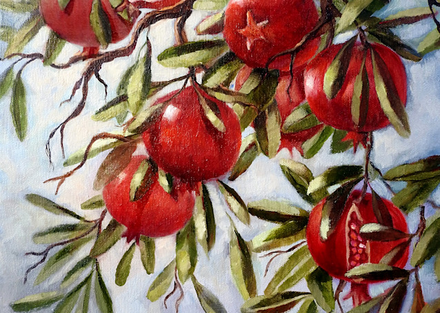 Pomegranates  Art | Geraldine Arata
