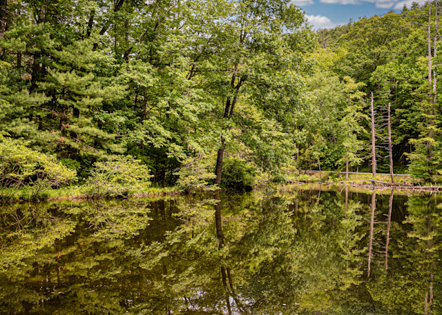 Caledonia Pond Reflection