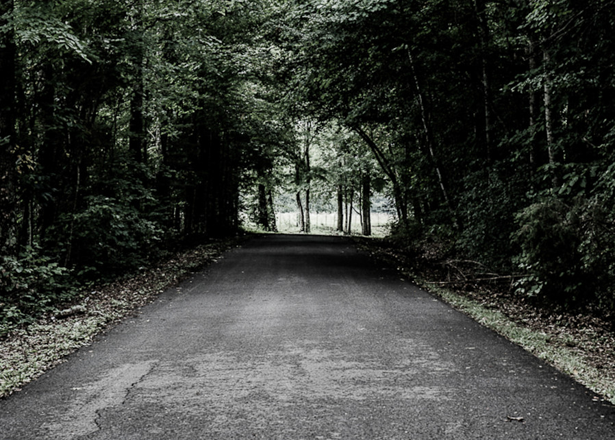 A Road To Somewhere Photography Art | Claudia F Coker Photography LLC