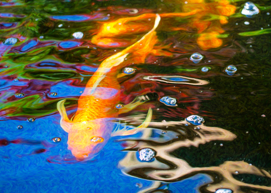 Koi Pond Fish   Golden Abstracts   By Omaste Witkowski Art | Artworks