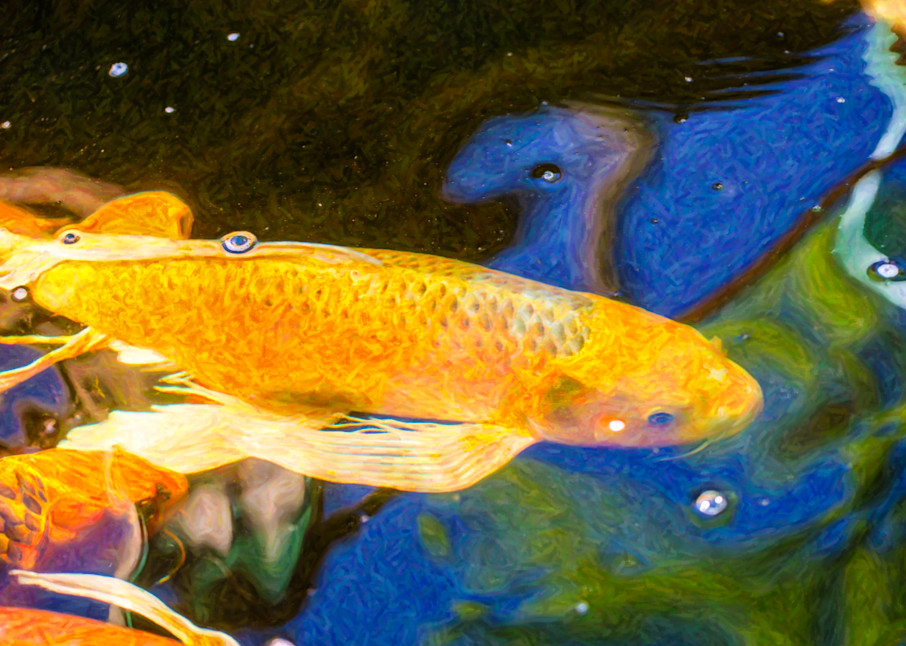 Koi Pond Fish   Winning Moves   By Omaste Witkowski Art | Artworks