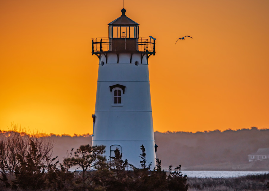Edgartown Light Mid Winter Sunsrise Gull Art | Michael Blanchard Inspirational Photography - Crossroads Gallery