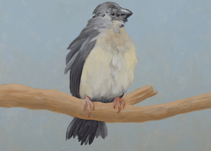 Lil Birdy Art | Bill Samios Studio