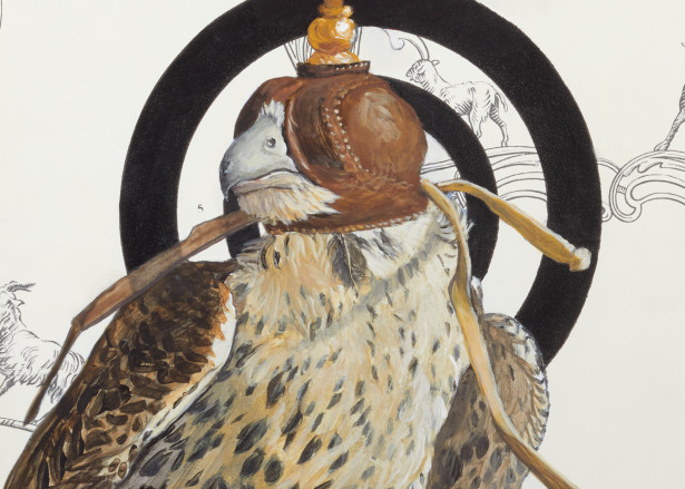 Hooded Falcon Art | Bill Samios Studio