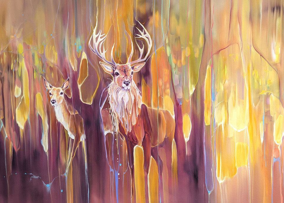 colourful print of a red deer stag and a doe in an abstract forest