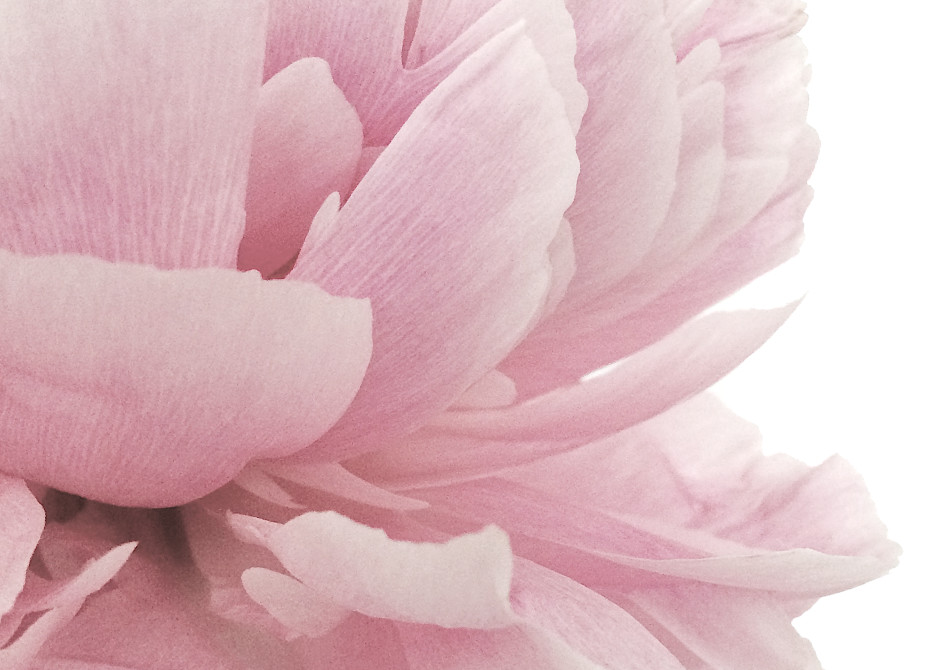 Big Pink Art | Bill Samios Studio