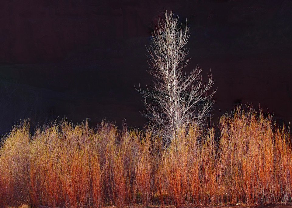 Echoes Of The Ancients In Canyon Du Chelly Photography Art | Sandy Brown Jensen: I Dream in Gold