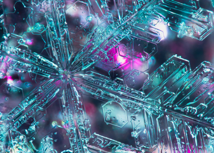 Large Stellar Dendrite On Confetti Glue Photography Art | Real Snowflake Photography LLC