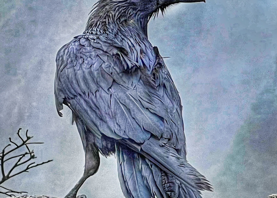 Raven Master Of Heceta Head Photography Art | Sandy Brown Jensen: I Dream in Gold