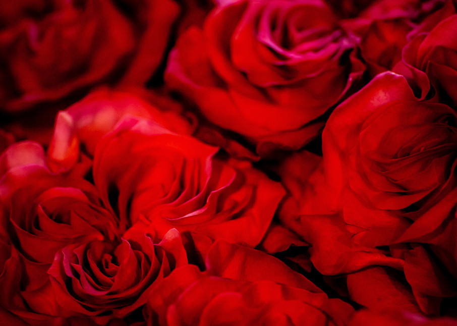 Roses Tote Photography Art | Lefkin Strategic Marketing & Creative LLC