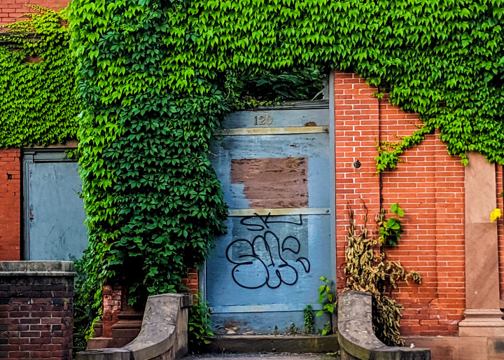 Abandoned Building with Ivy