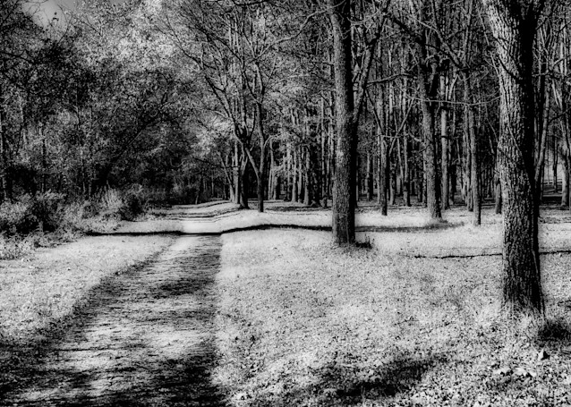 Pathway in Infrared