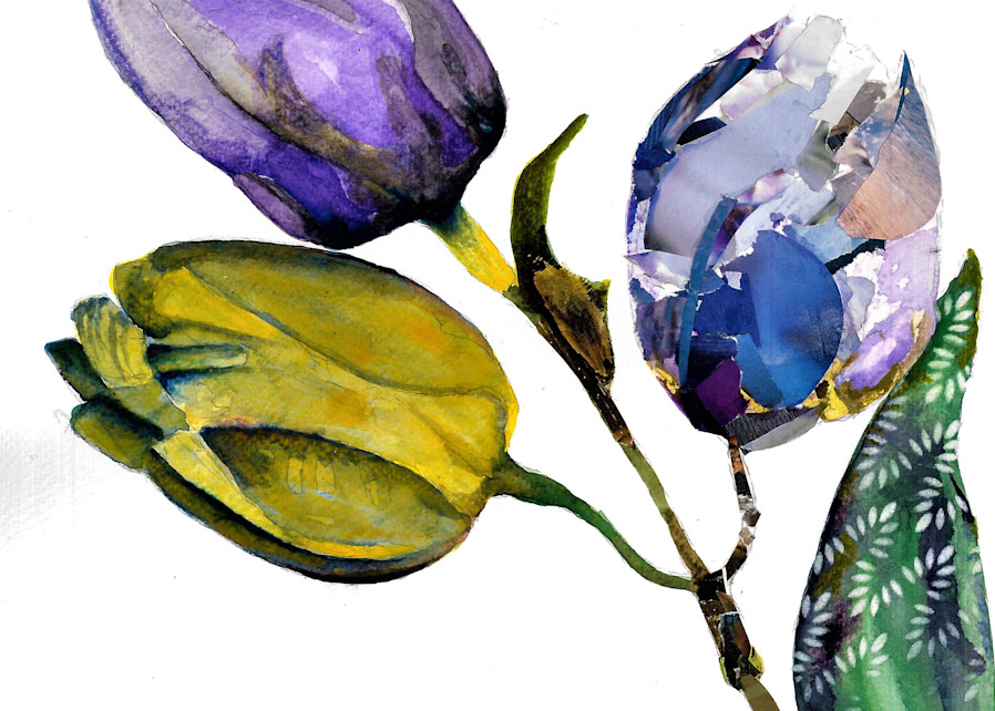 Purple Tulips Art | debfrederick