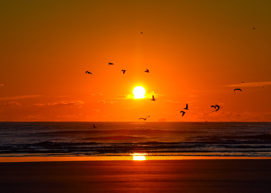 Pelican Sunrise Photography Art | photo4change