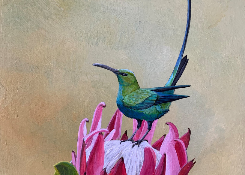 Tropical Bird With Large Flower Art | Skip Marsh Art