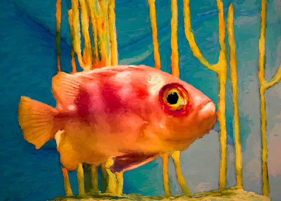 Night Fish Art | Light Pixie Studio