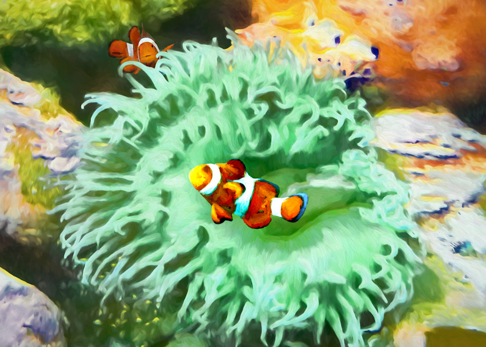 Clownfish Art | Light Pixie Studio