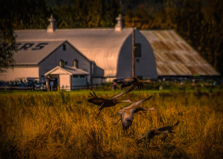 Cramers Field With Barn Photography Art | Eyes Wide Open Photography