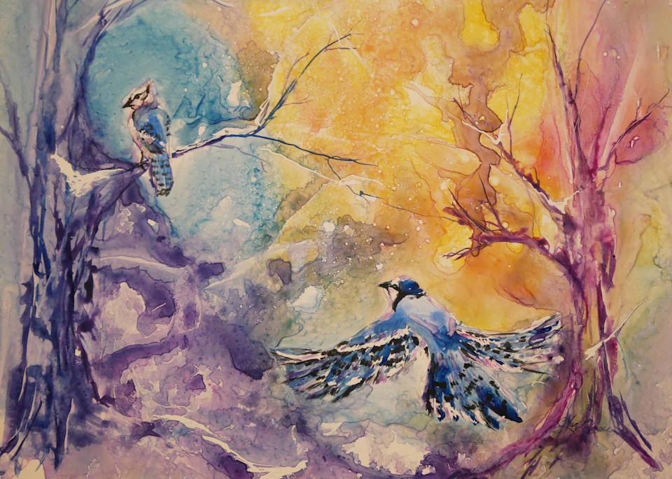Blue Jays in Winter Wonderland