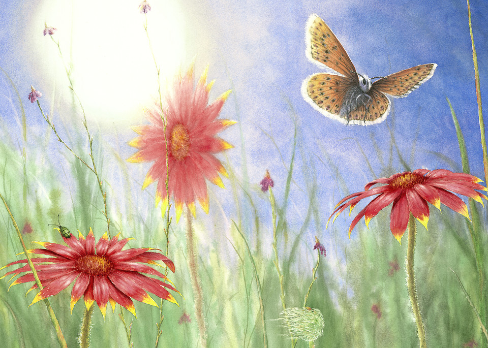 Butterfly Landings | Warehouse Print