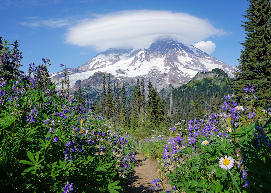 Mount Rainier with Wildflowers and Hat