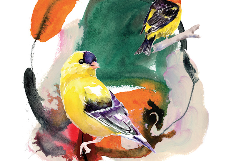 Goldfinch And Western Tanager Art | Andrea Henning Art