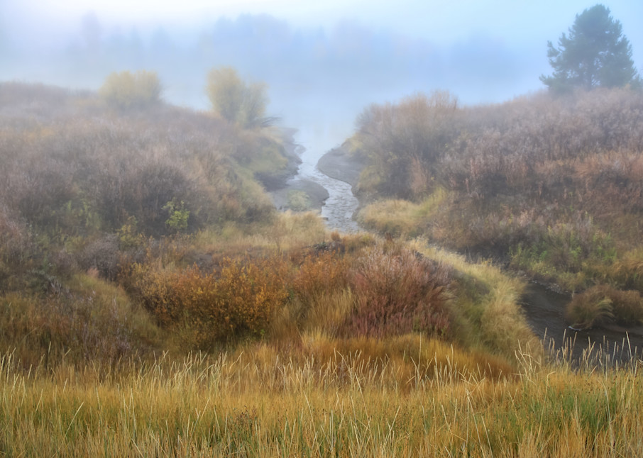 Foggy Grand Teton National Park Photography Art | Kim Clune Photography