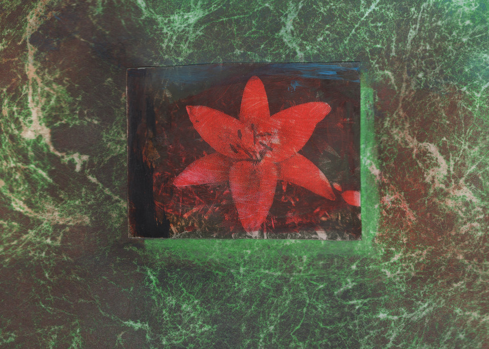 Red Lily Art | Mark Rushton