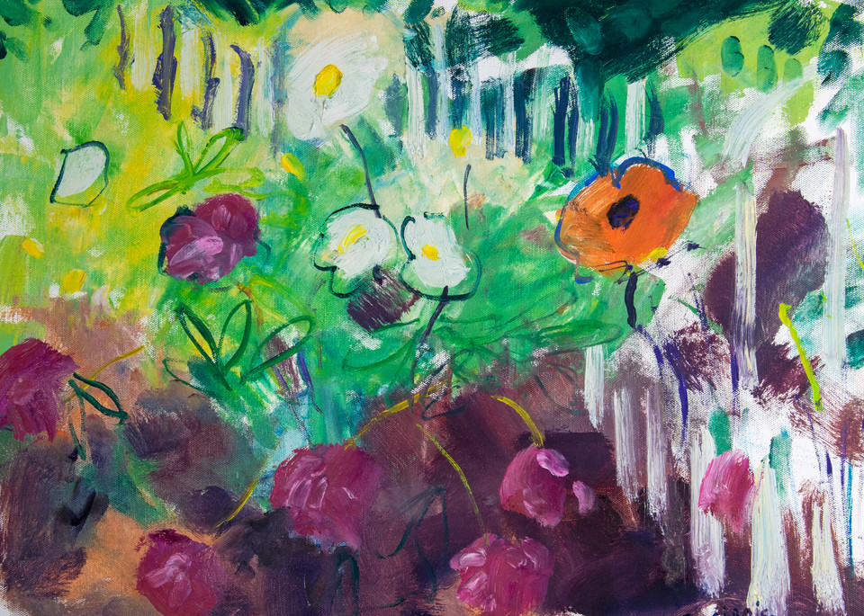 White Poppies Art | John Sirois