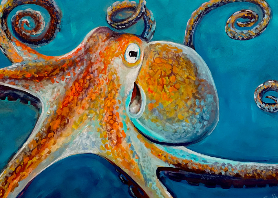 The Octopus Art | The Artwork of Tim Smith