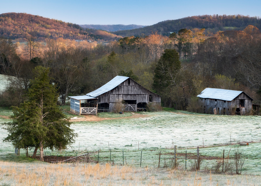 Morning on the Farm - Tennessee fine-art photography prints