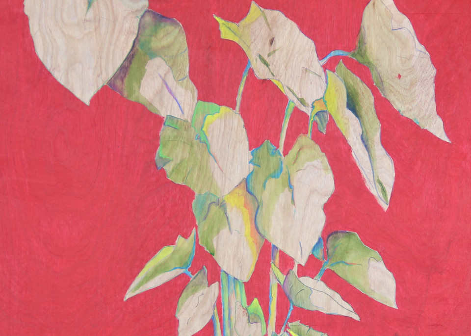 Red Botanical Art | Betsy Hobkirk Art