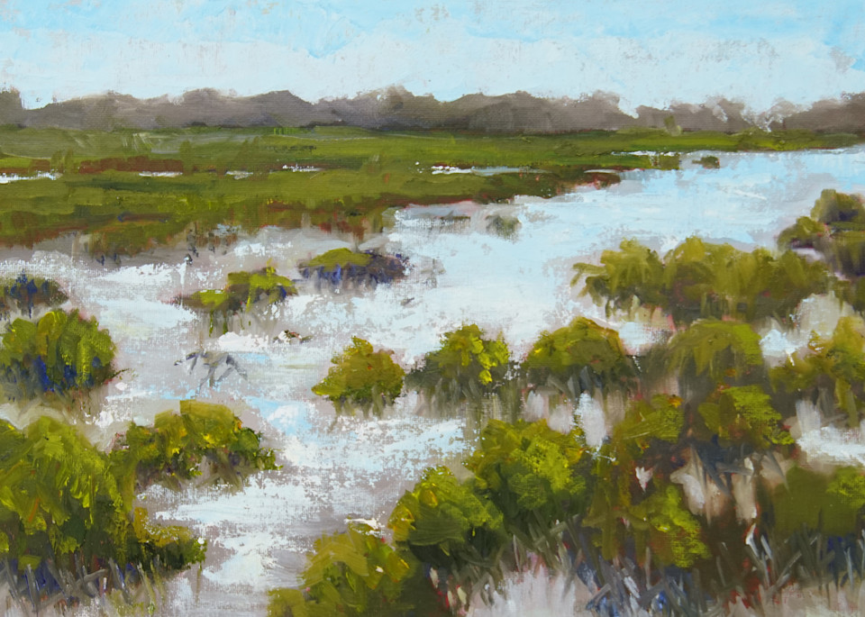 Mangroves Print Art | Pat Mabie