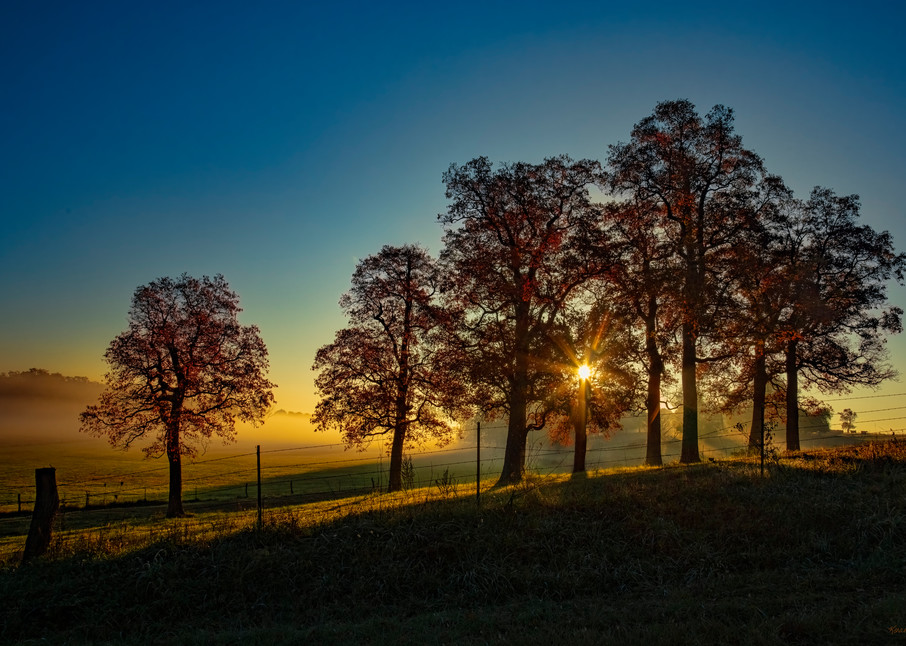 Foggy Sunrise With Sunburst Through Fall Trees 0107fss Photography Art | Koral Martin Fine Art Photography