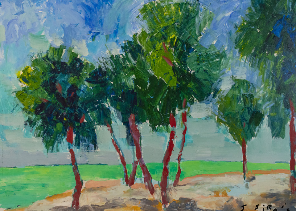 "Palm" Beach  Art | John Sirois